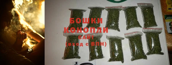 PSILOCYBIN Вязники