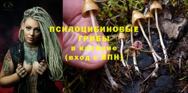 PSILOCYBIN Вязники