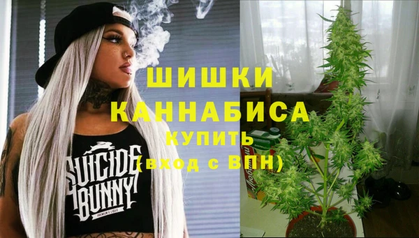дурь Вяземский