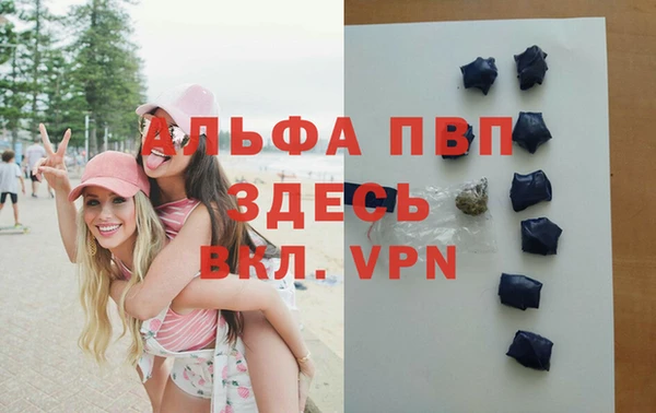 PSILOCYBIN Вязники