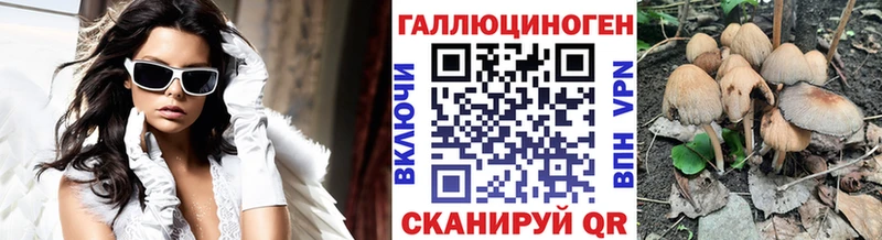 Псилоцибиновые грибы Cubensis  цены   Петровск 